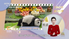 冯德伦晒与吴彦祖谢霆锋合影：新鲜过的小鲜肉 2015-09-23 9月23日凌晨，冯德伦在微博中晒出自己和吴彦祖、谢霆锋的旧照，艾特吴彦祖并写道：“哇，新鲜过的小鲜肉啊！
